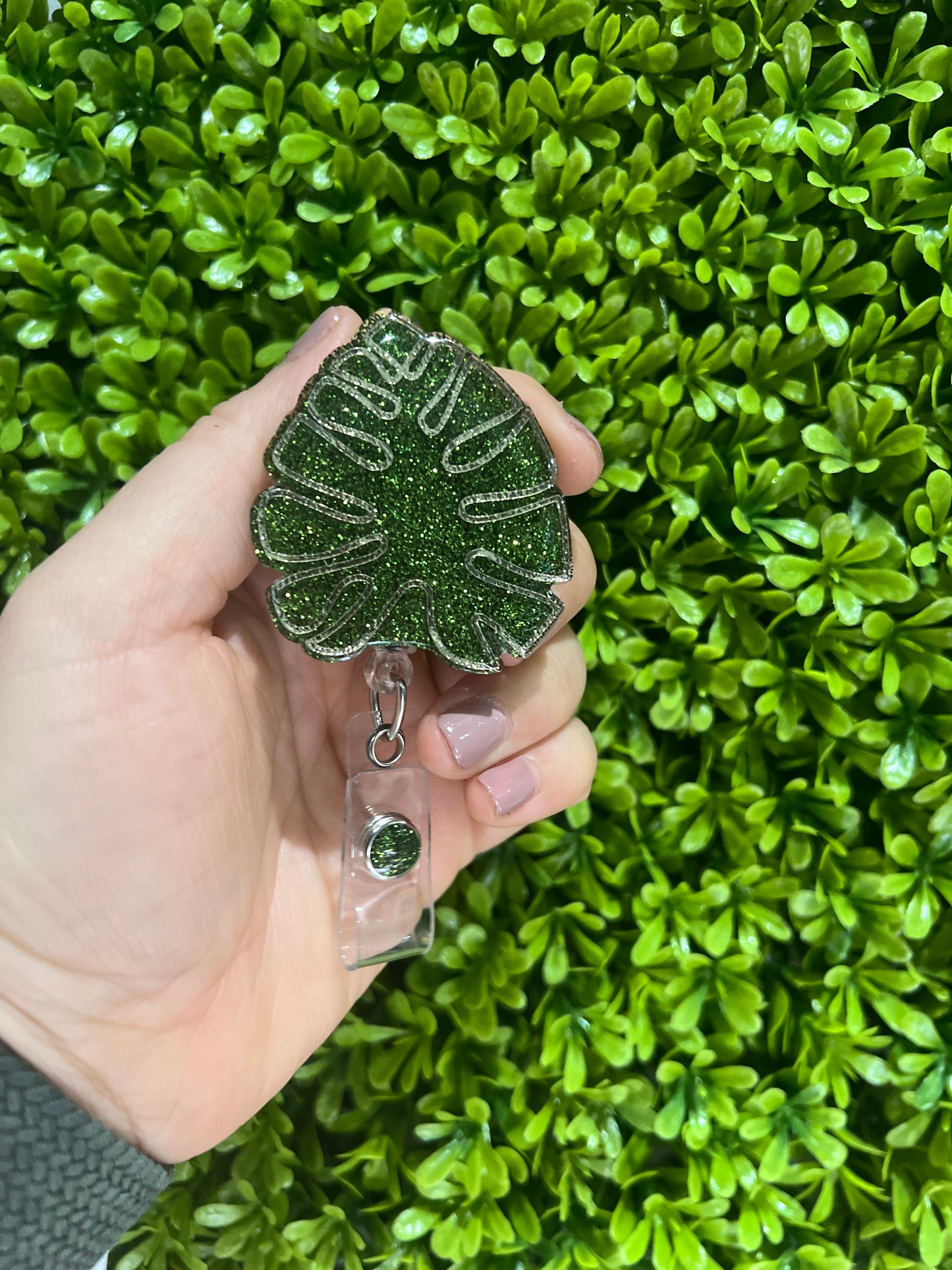 Monstera leaf