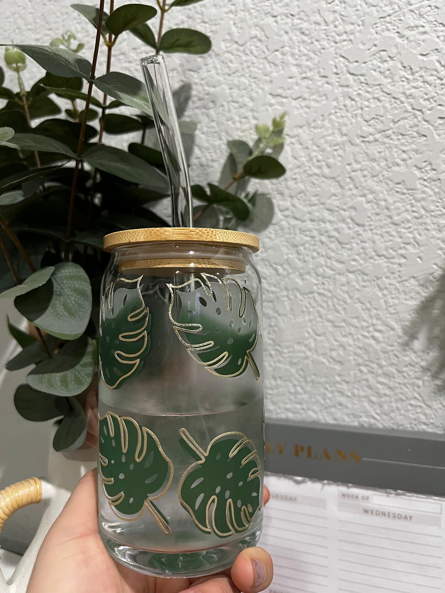 Monstera 16oz cup